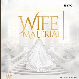 Spyro-Wife-Material-Naijaloaded